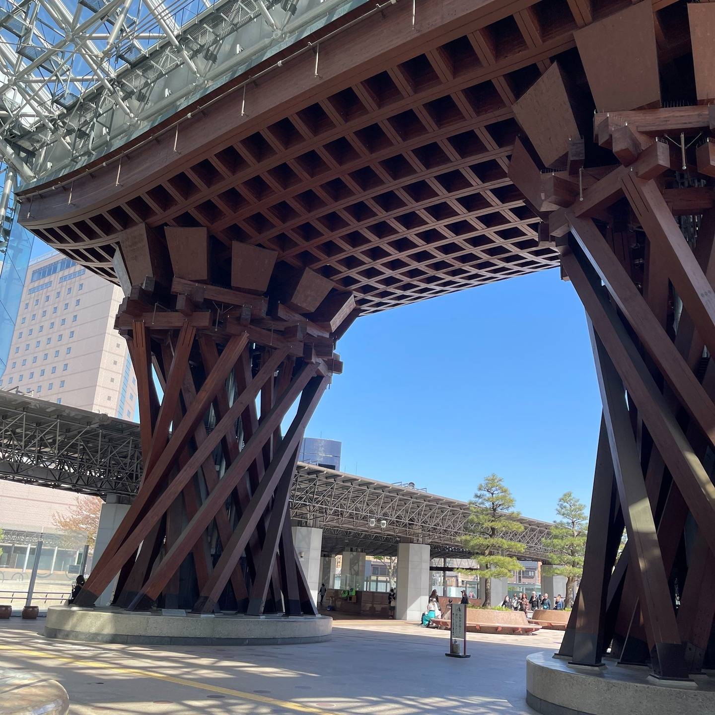 こんにちは！当院のホームページがリニューアルオープンいたしま