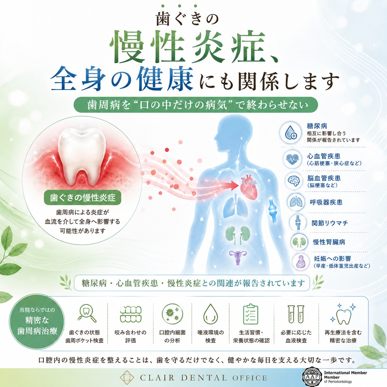 歯ぐきの炎症は、全身の健康にも関係します